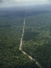 amazon-highway-between-brazilia-and-belem-brazil